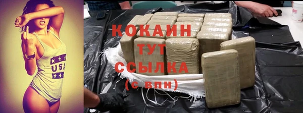 твердый Абаза