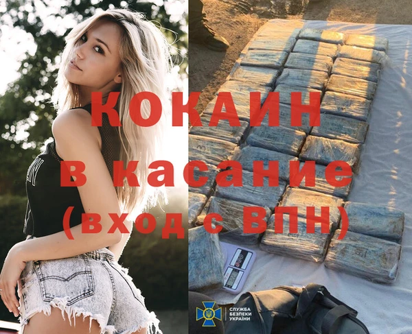 твердый Абаза