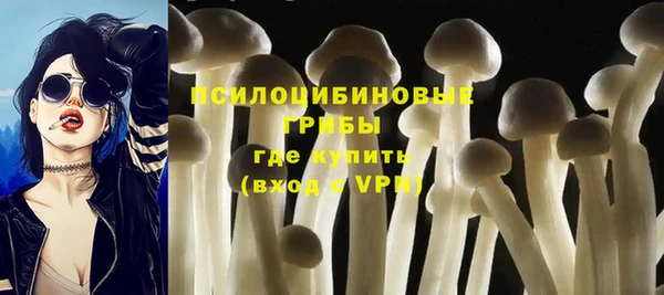трава Покачи