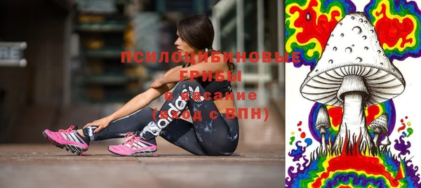 дурь Алзамай