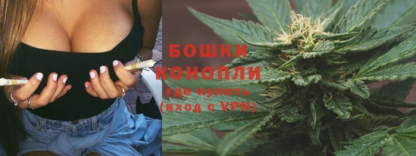 дурь Алзамай