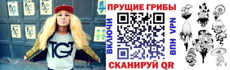 Галлюциногенные грибы Psilocybe  где продают наркотики  ОМГ ОМГ сайт  Собинка 